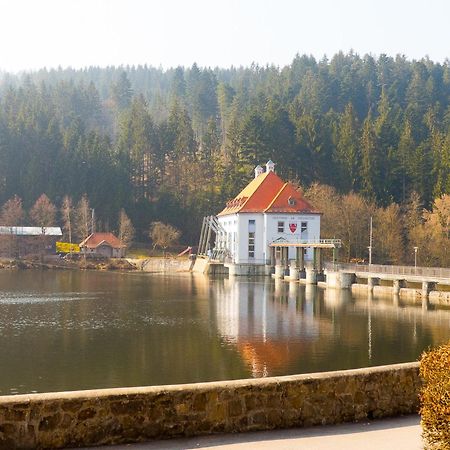 Ferienhaus Nr 6, Typ A, Feriendorf Jaegerpark, Bayerischer Wald Фіхтах Екстер'єр фото